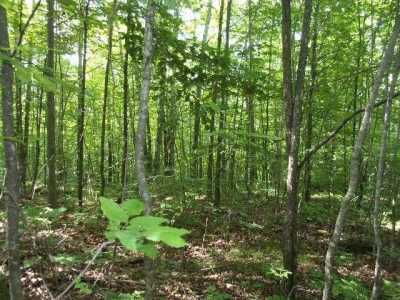 Residential Land For Sale in Athelstane, Wisconsin