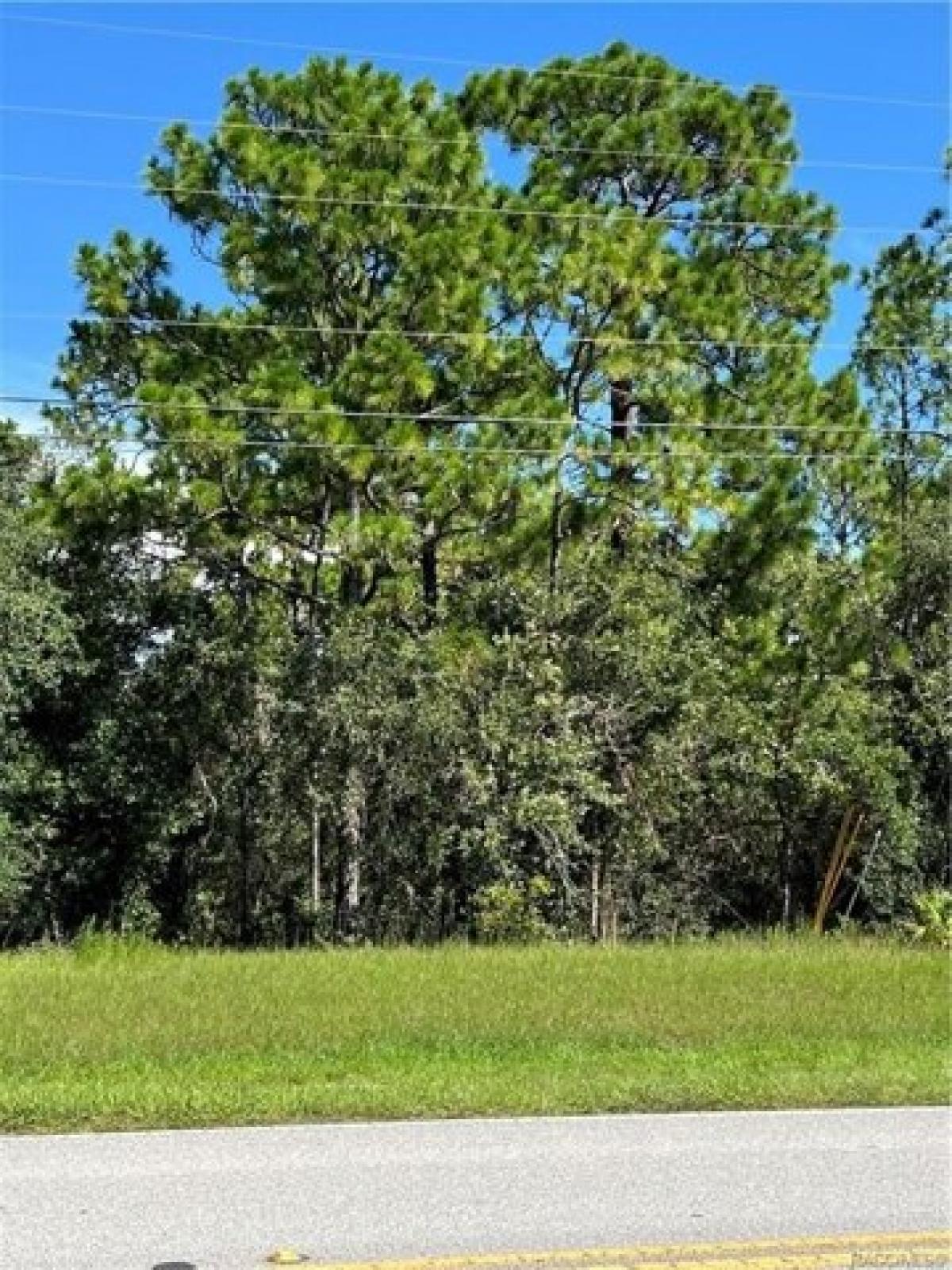 Picture of Residential Land For Sale in Beverly Hills, Florida, United States