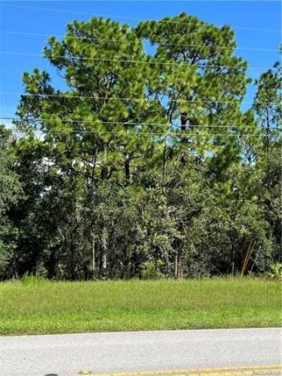 Residential Land For Sale in Beverly Hills, Florida