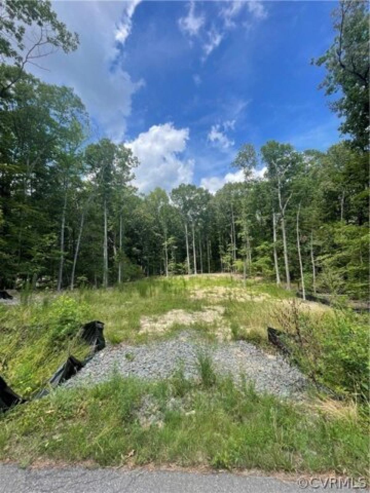 Picture of Residential Land For Sale in Ruther Glen, Virginia, United States