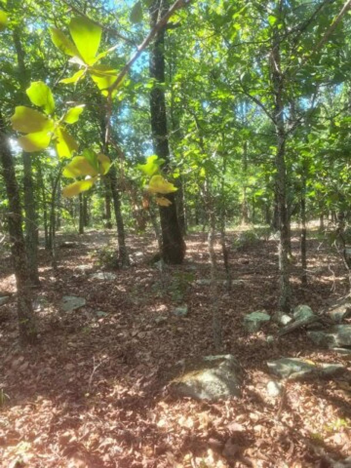 Picture of Residential Land For Sale in Cabot, Arkansas, United States