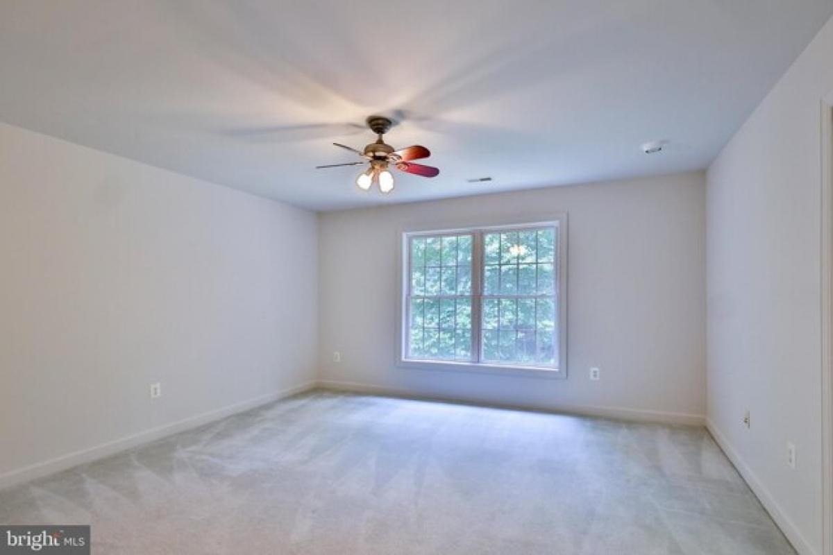 Picture of Home For Rent in McLean, Virginia, United States