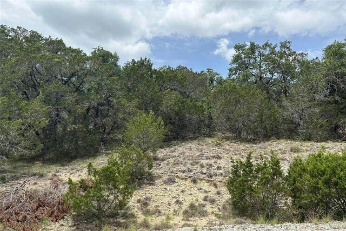 Picture of Residential Land For Sale in Leander, Texas, United States