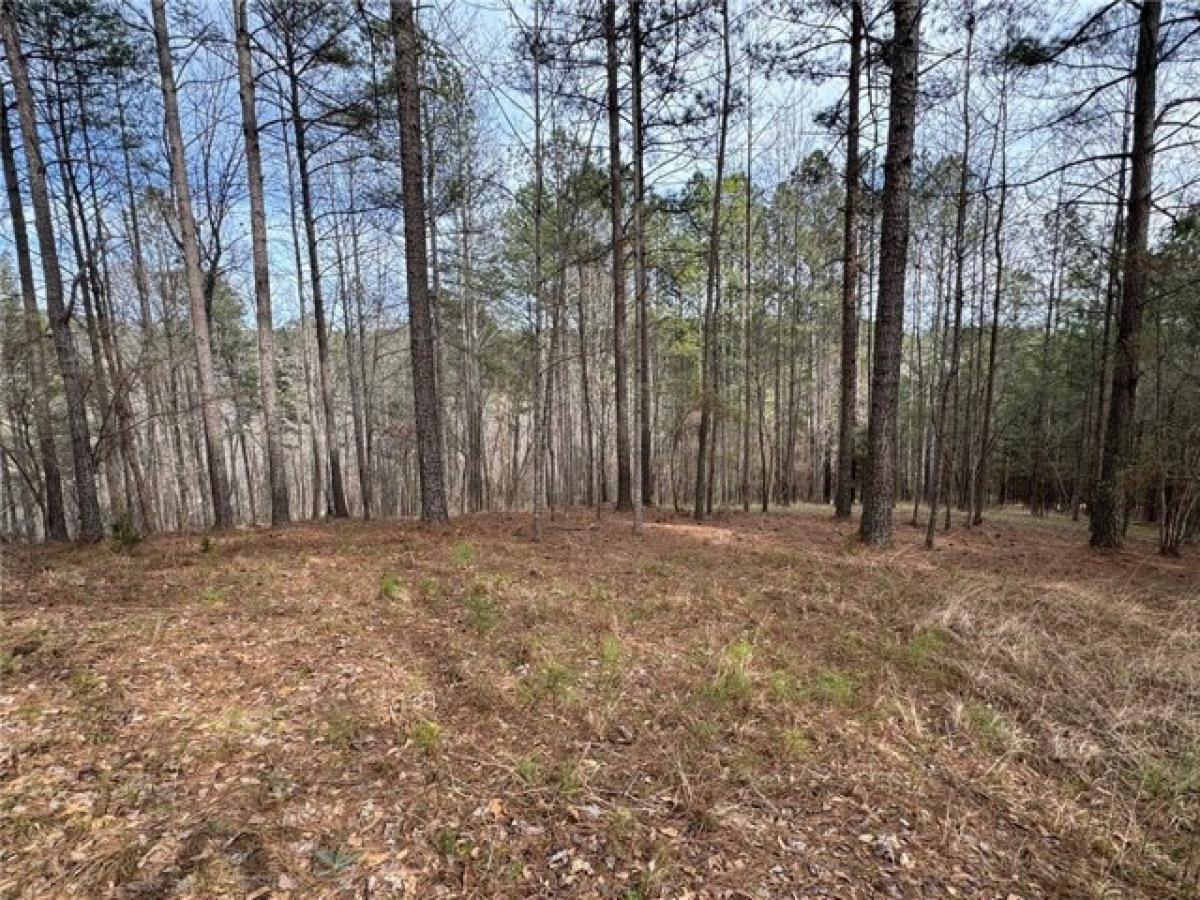 Picture of Residential Land For Sale in Six Mile, South Carolina, United States