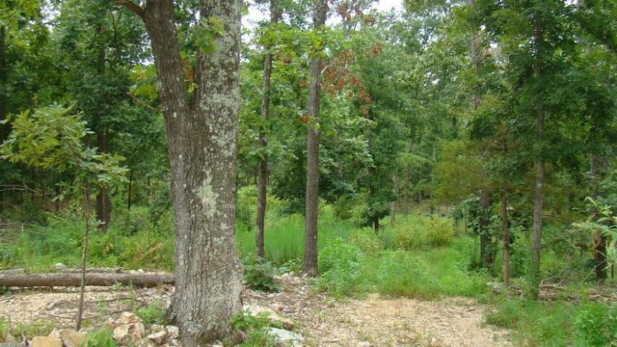 Picture of Home For Sale in Mountain View, Missouri, United States