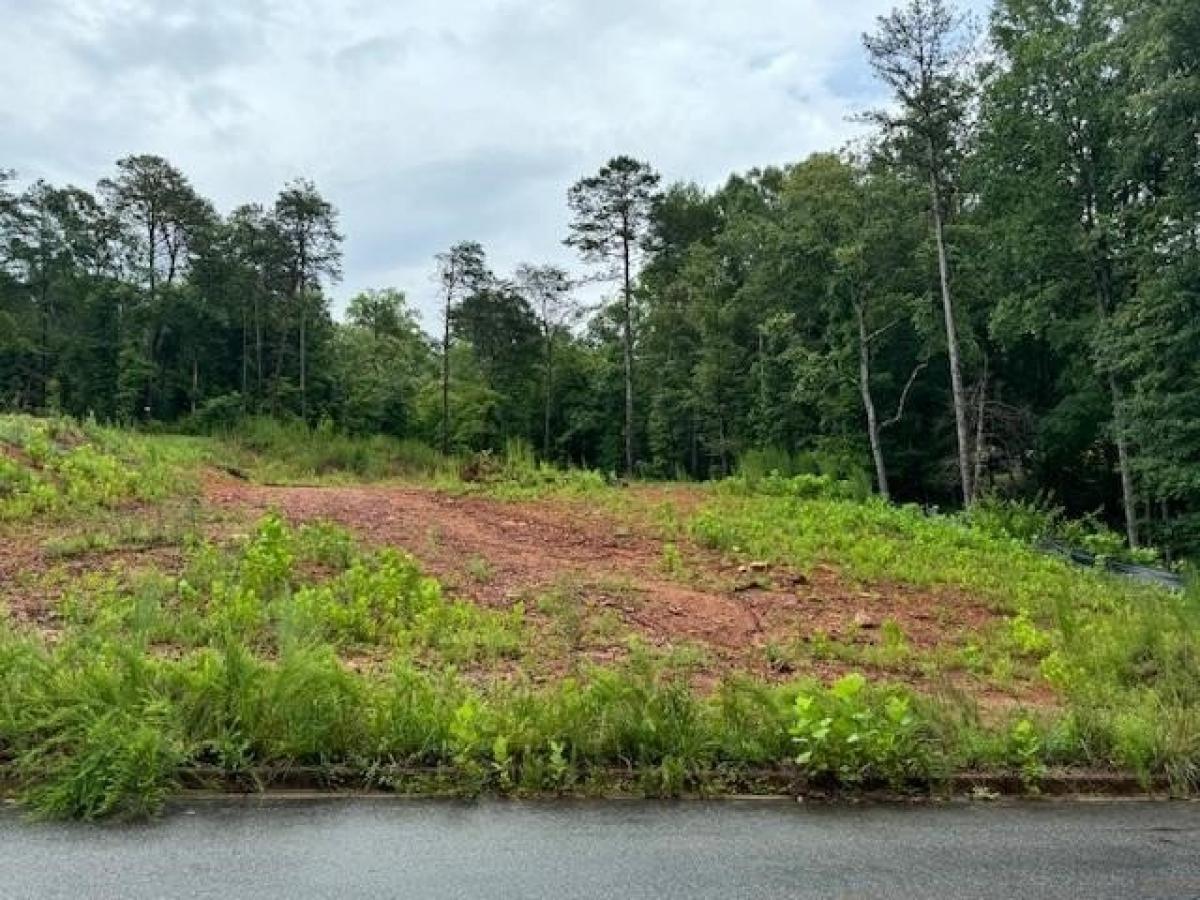 Picture of Residential Land For Sale in Chesnee, South Carolina, United States