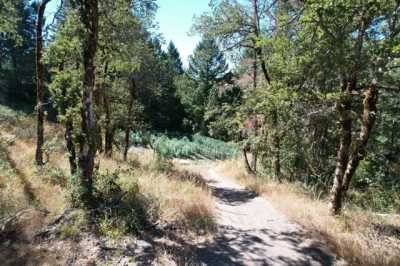 Home For Sale in Bridgeville, California