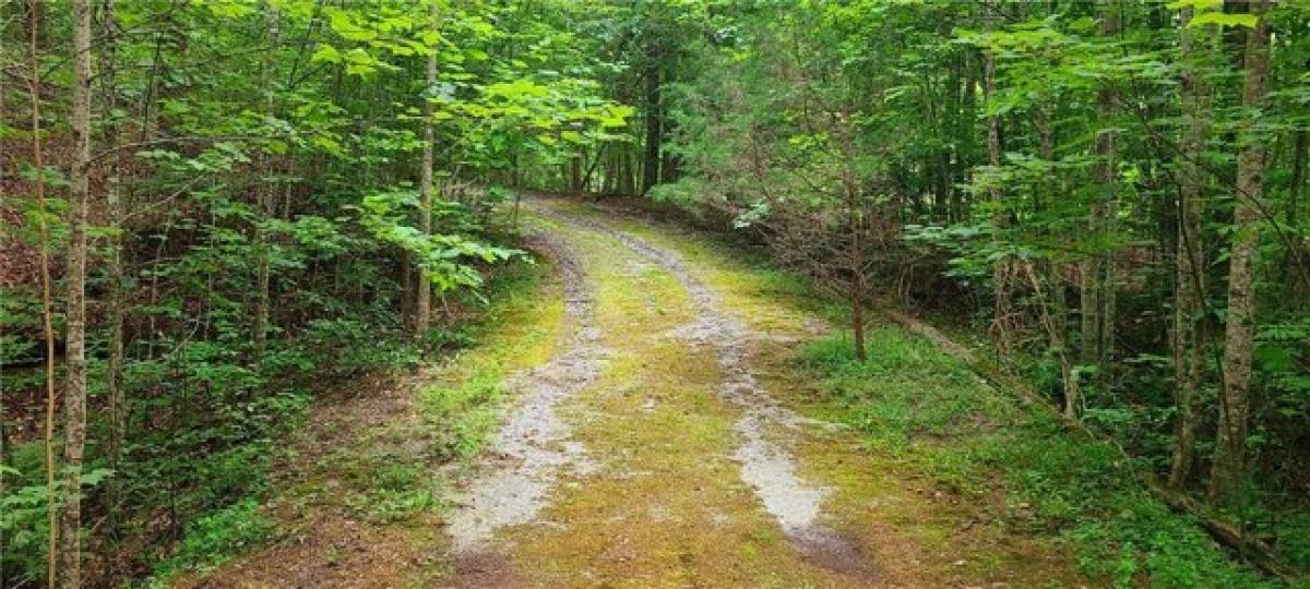 Picture of Residential Land For Sale in Pickens, South Carolina, United States