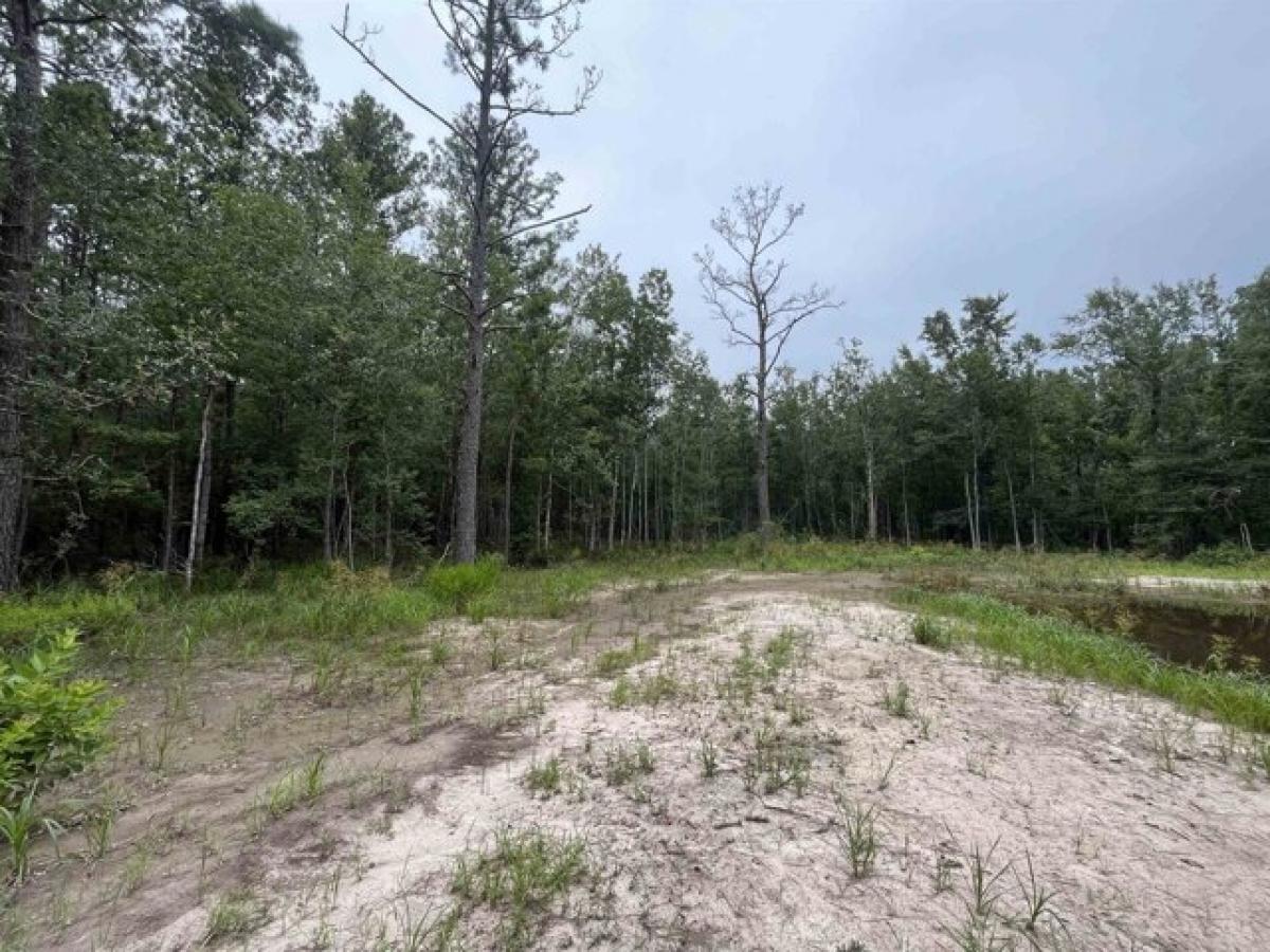 Picture of Residential Land For Sale in Buna, Texas, United States