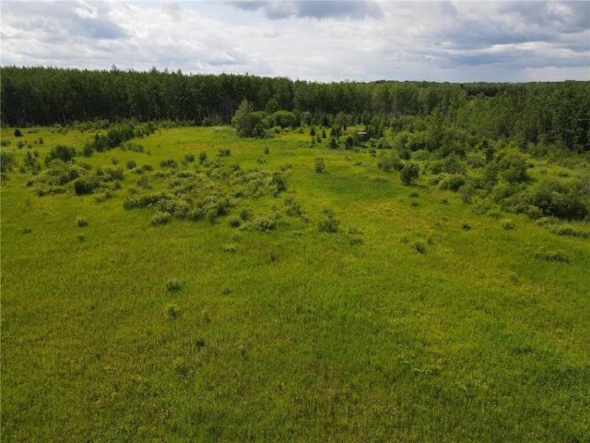 Picture of Residential Land For Sale in Bigfork, Minnesota, United States