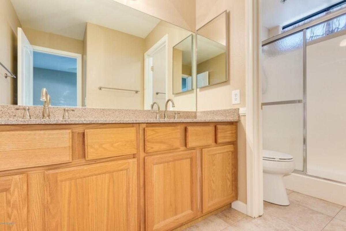 Picture of Apartment For Rent in Peoria, Arizona, United States