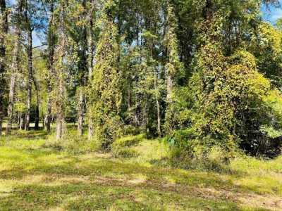 Residential Land For Sale in Franklin, Alabama