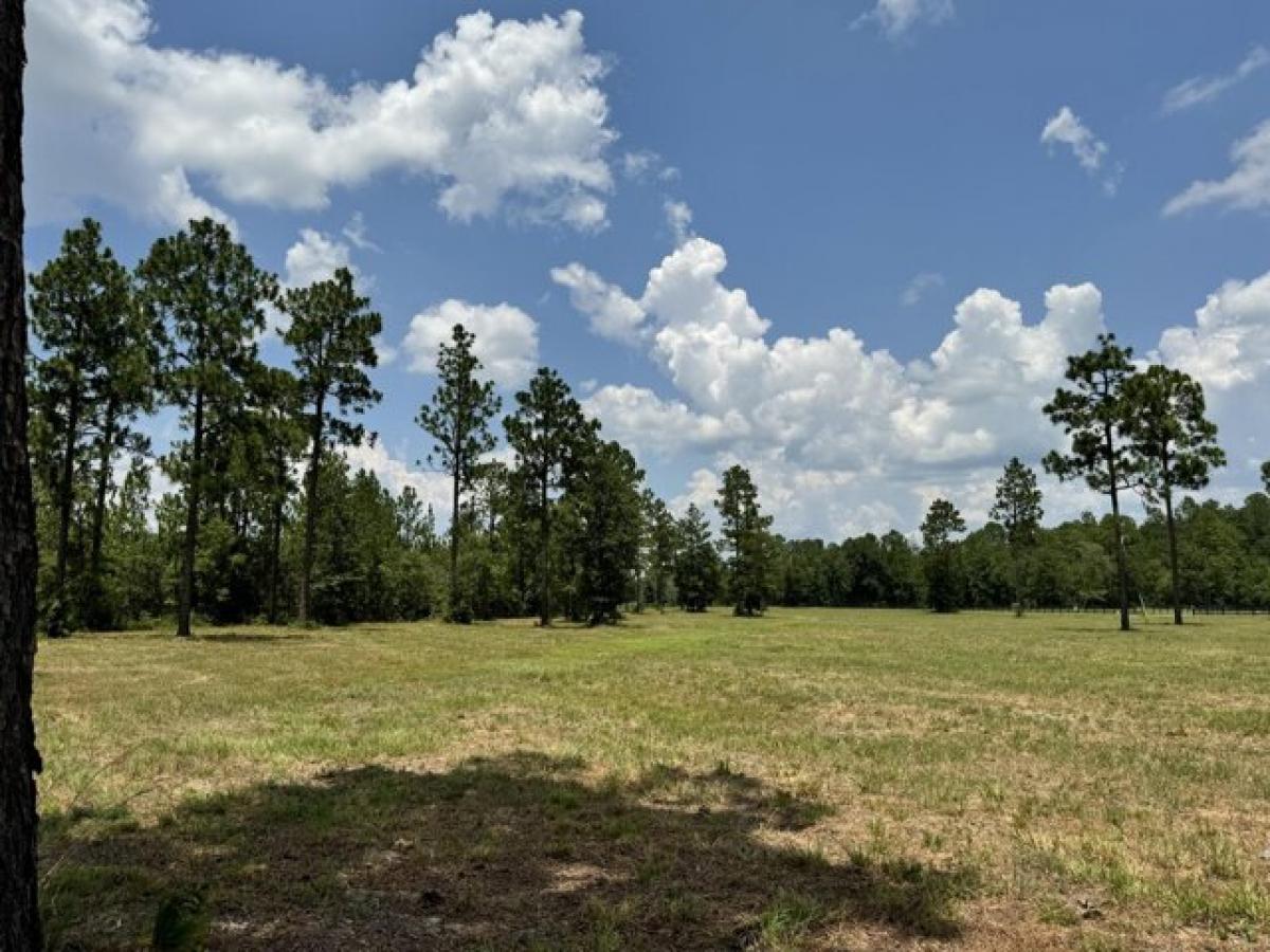 Picture of Residential Land For Sale in Windsor, South Carolina, United States