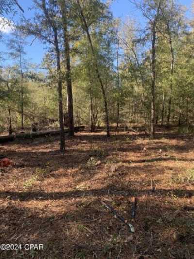 Residential Land For Sale in Youngstown, Florida