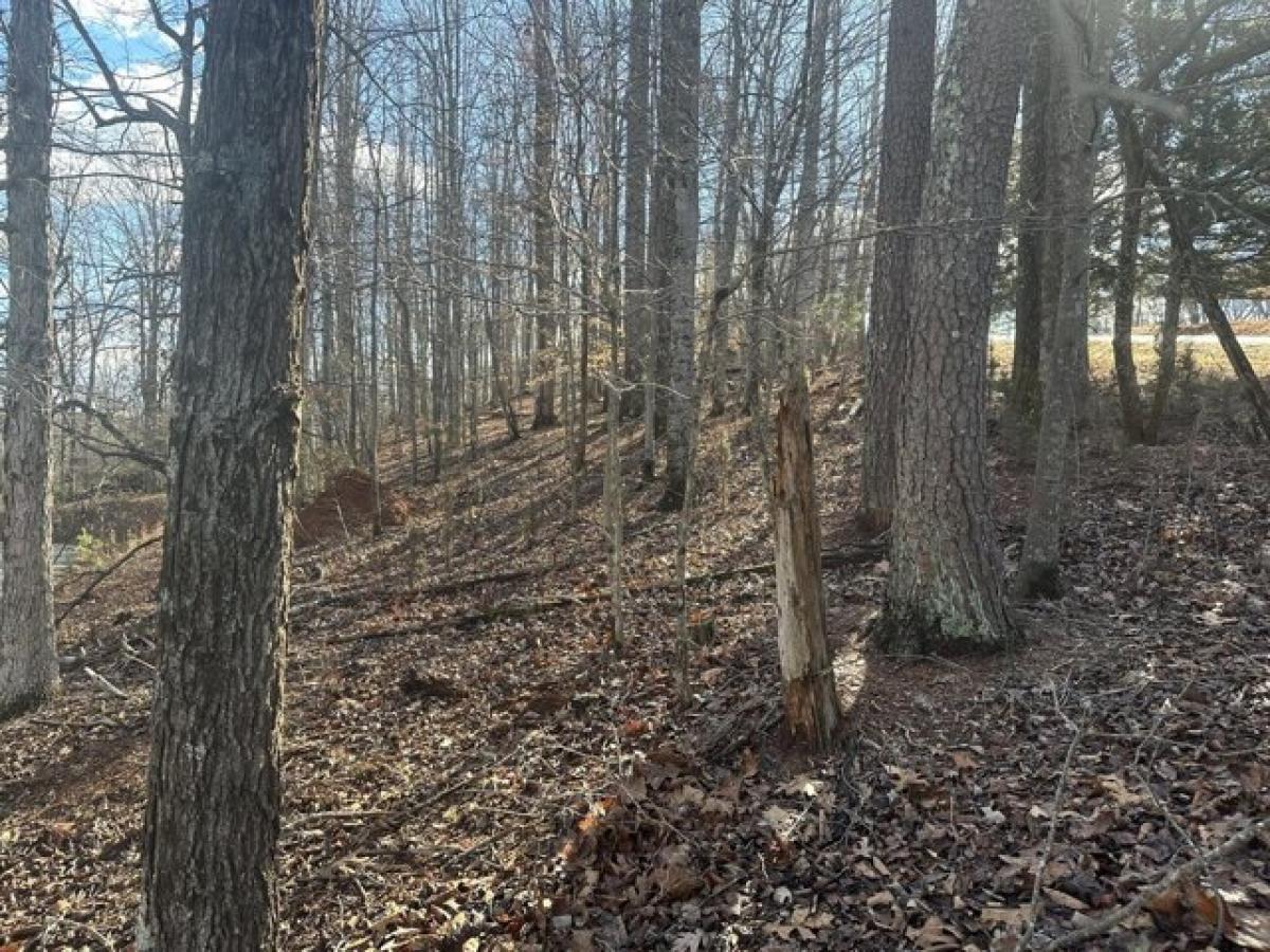 Picture of Residential Land For Rent in Hardy, Virginia, United States