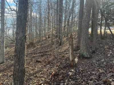 Residential Land For Rent in Hardy, Virginia