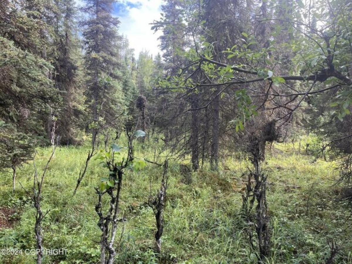 Picture of Residential Land For Sale in Soldotna, Alaska, United States