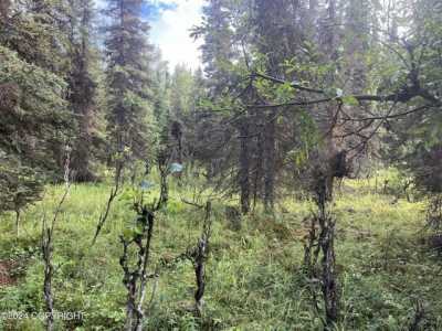 Residential Land For Sale in Soldotna, Alaska