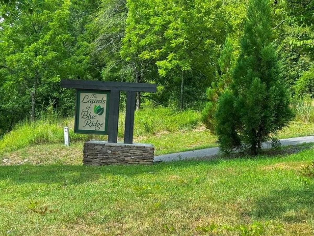 Picture of Residential Land For Sale in Mineral Bluff, Georgia, United States