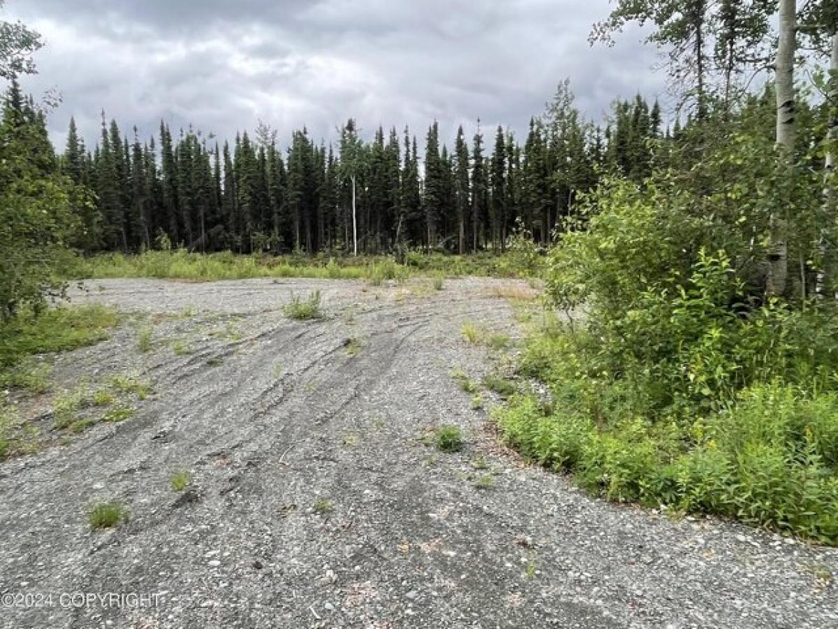 Picture of Residential Land For Sale in Soldotna, Alaska, United States