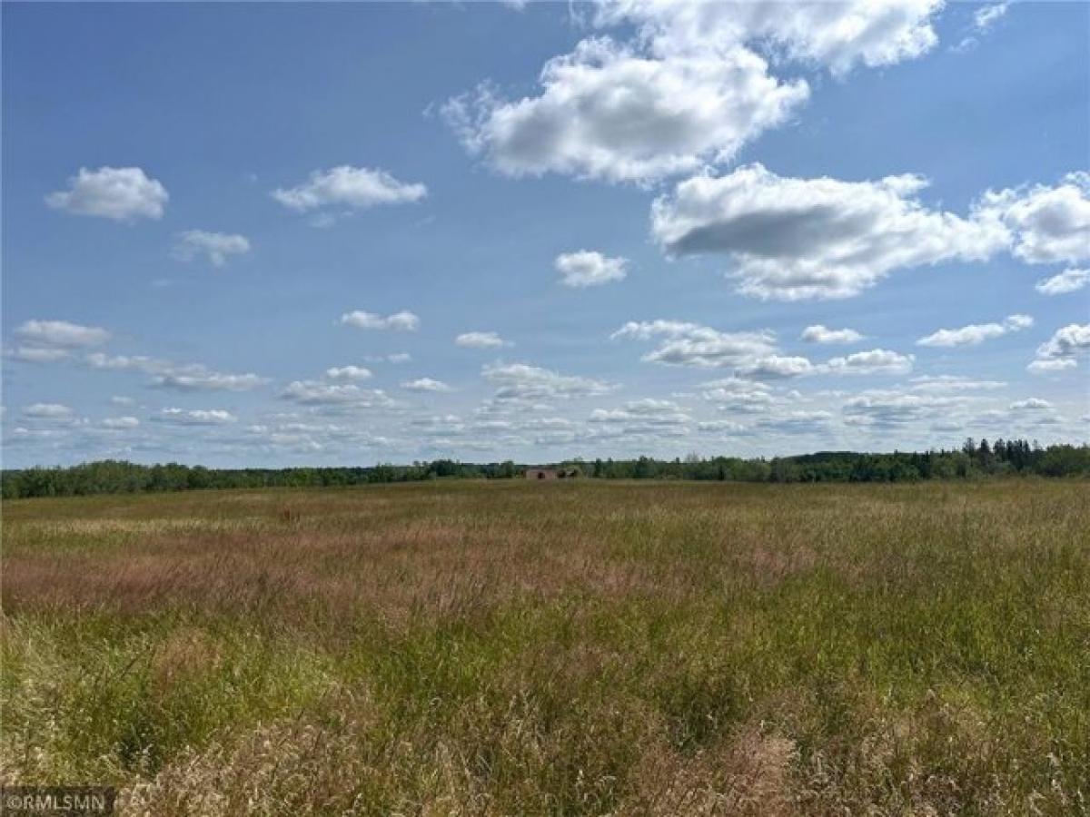 Picture of Residential Land For Sale in Aitkin, Minnesota, United States