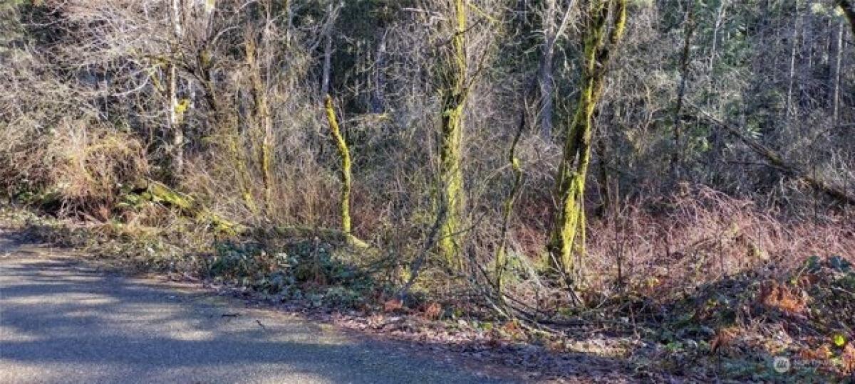 Picture of Residential Land For Sale in Bremerton, Washington, United States