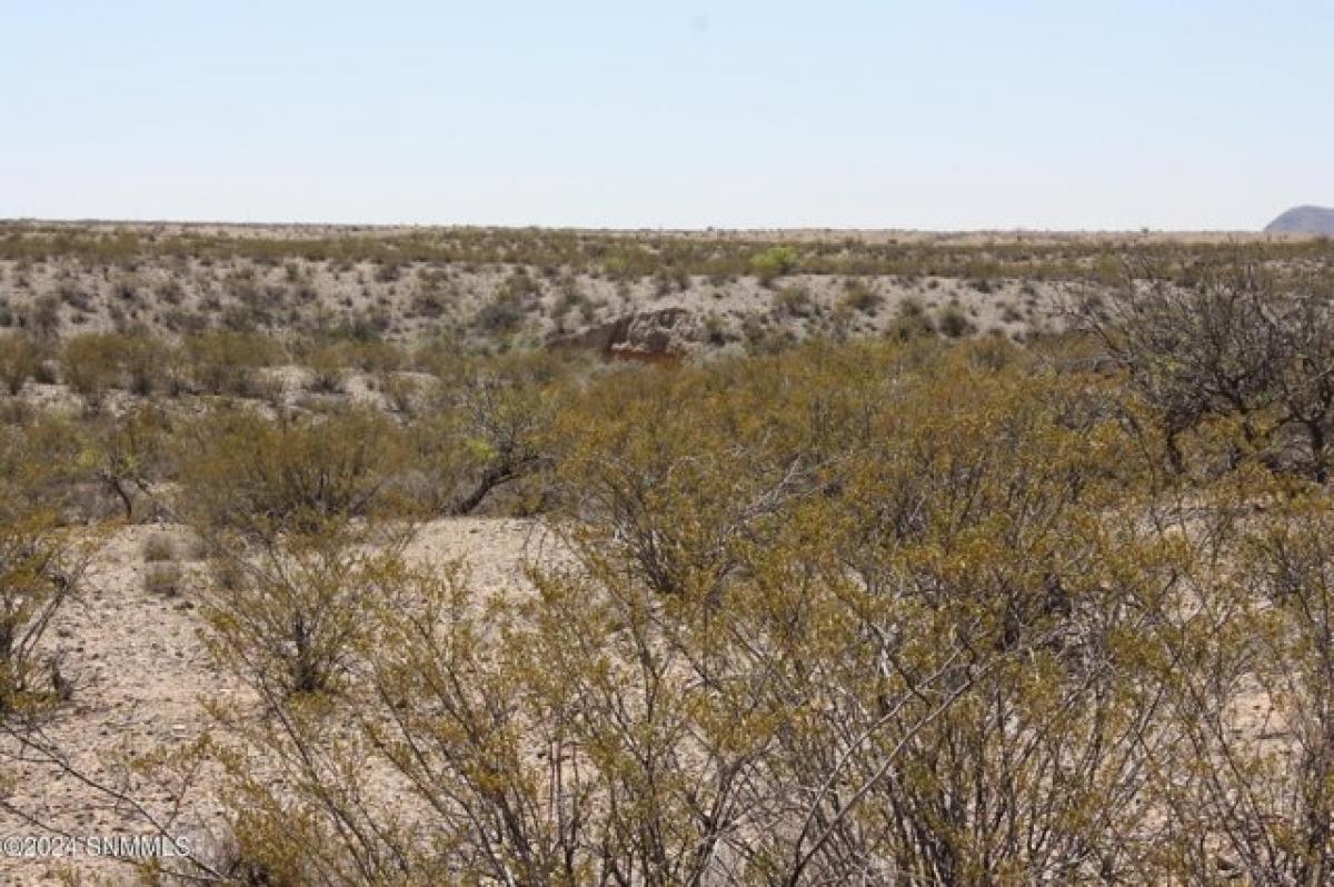 Picture of Residential Land For Sale in Las Cruces, New Mexico, United States