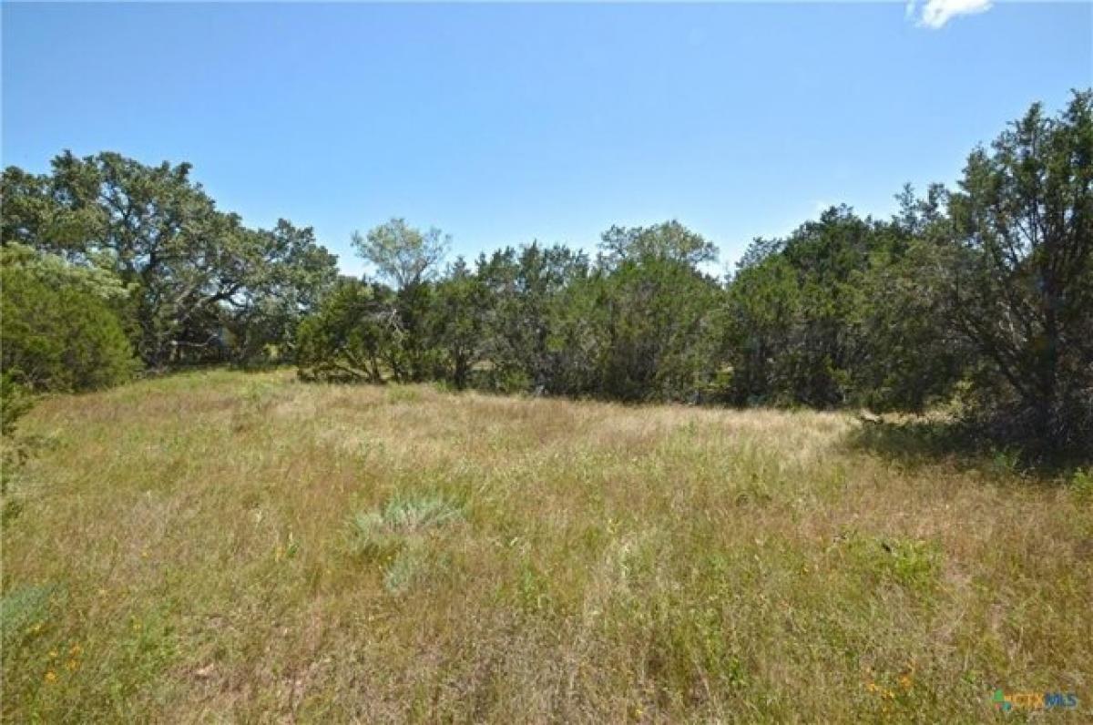 Picture of Residential Land For Sale in Goldthwaite, Texas, United States