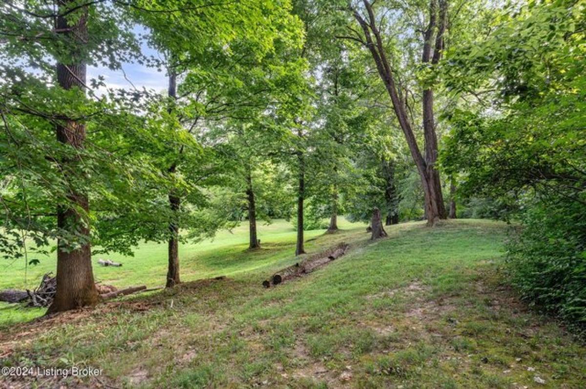 Picture of Residential Land For Sale in Louisville, Kentucky, United States