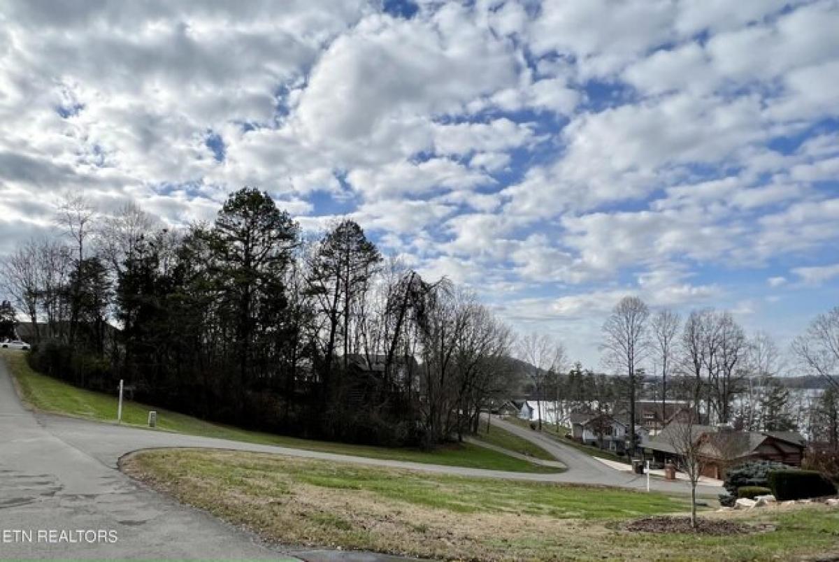 Picture of Residential Land For Sale in Greenback, Tennessee, United States