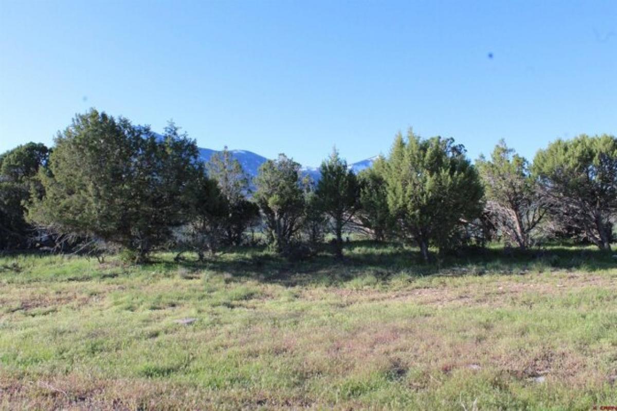 Picture of Residential Land For Sale in Paonia, Colorado, United States