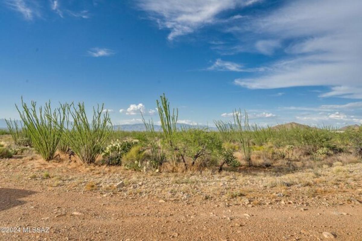 Picture of Residential Land For Sale in Vail, Arizona, United States