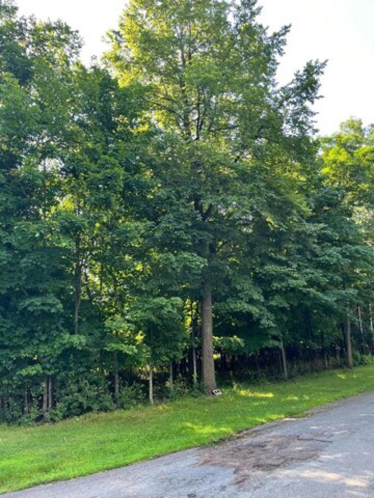 Picture of Residential Land For Sale in Menomonie, Wisconsin, United States