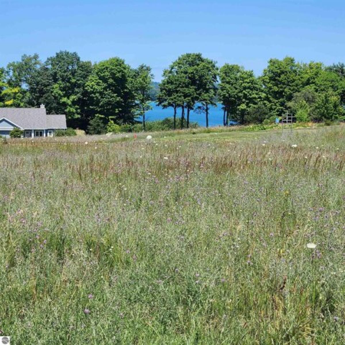 Picture of Residential Land For Sale in Lake Leelanau, Michigan, United States