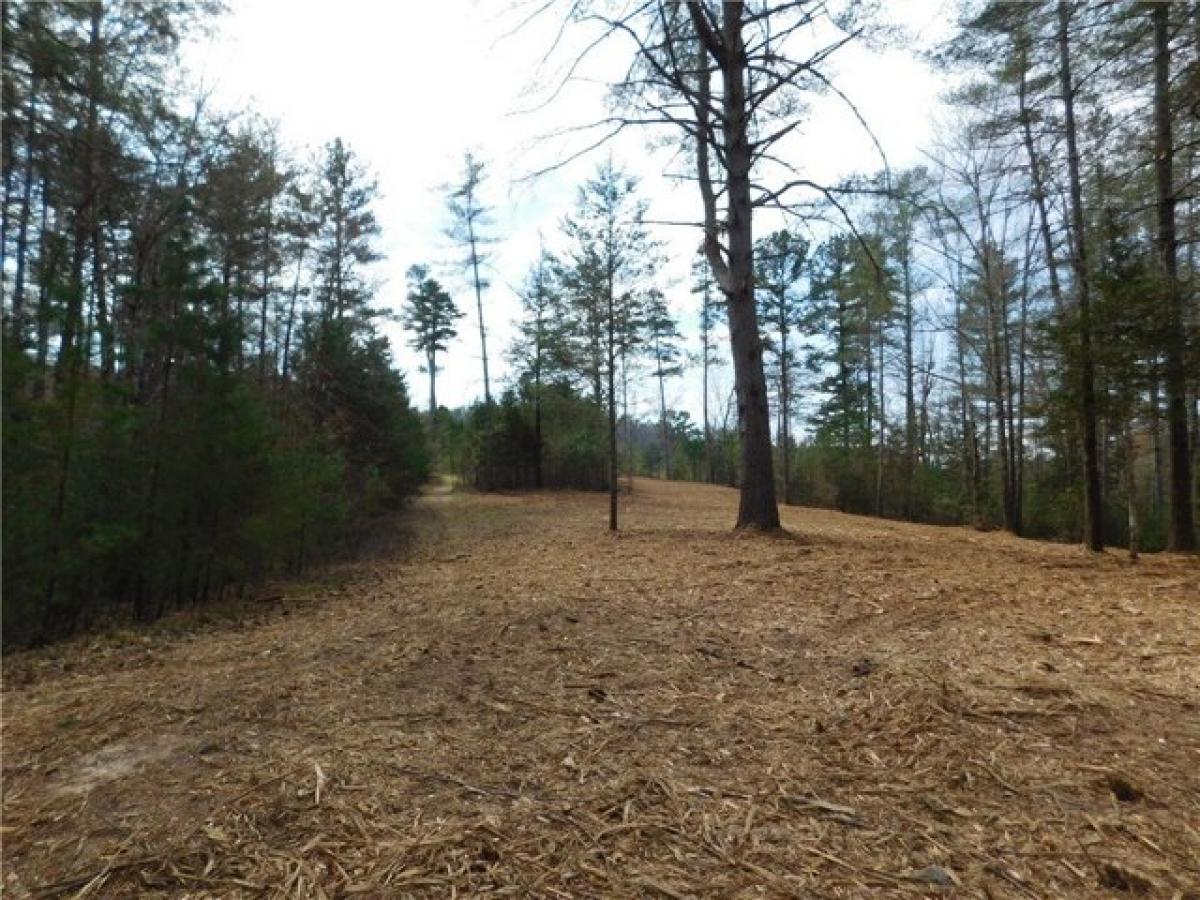 Picture of Residential Land For Sale in Sunset, South Carolina, United States