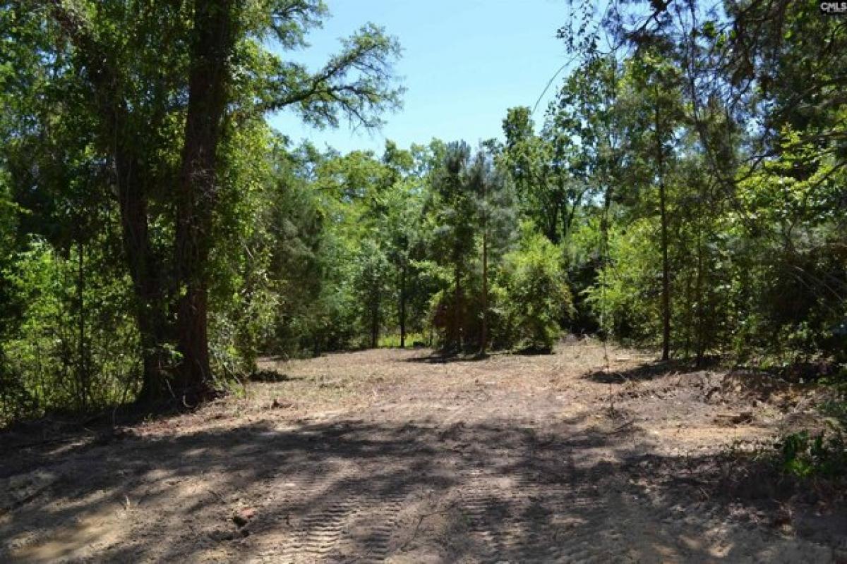 Picture of Residential Land For Sale in Batesburg, South Carolina, United States