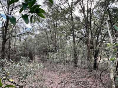 Residential Land For Sale in Bell, Florida