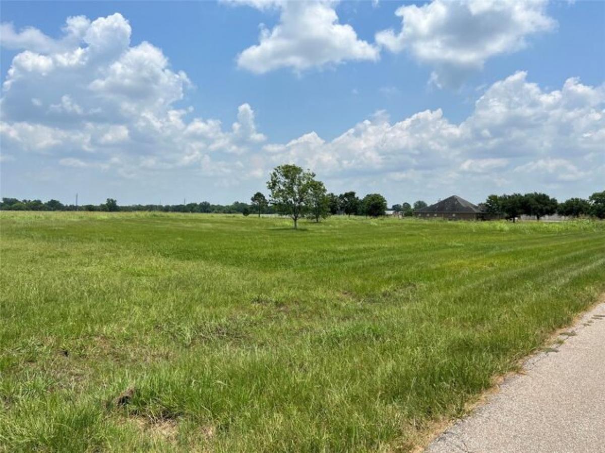 Picture of Residential Land For Sale in Rosharon, Texas, United States