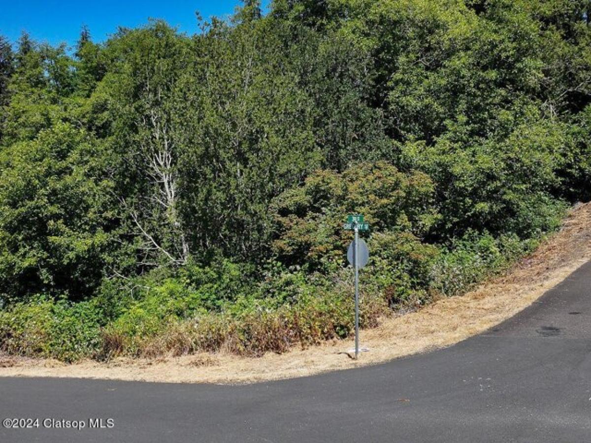 Picture of Residential Land For Sale in Wheeler, Oregon, United States