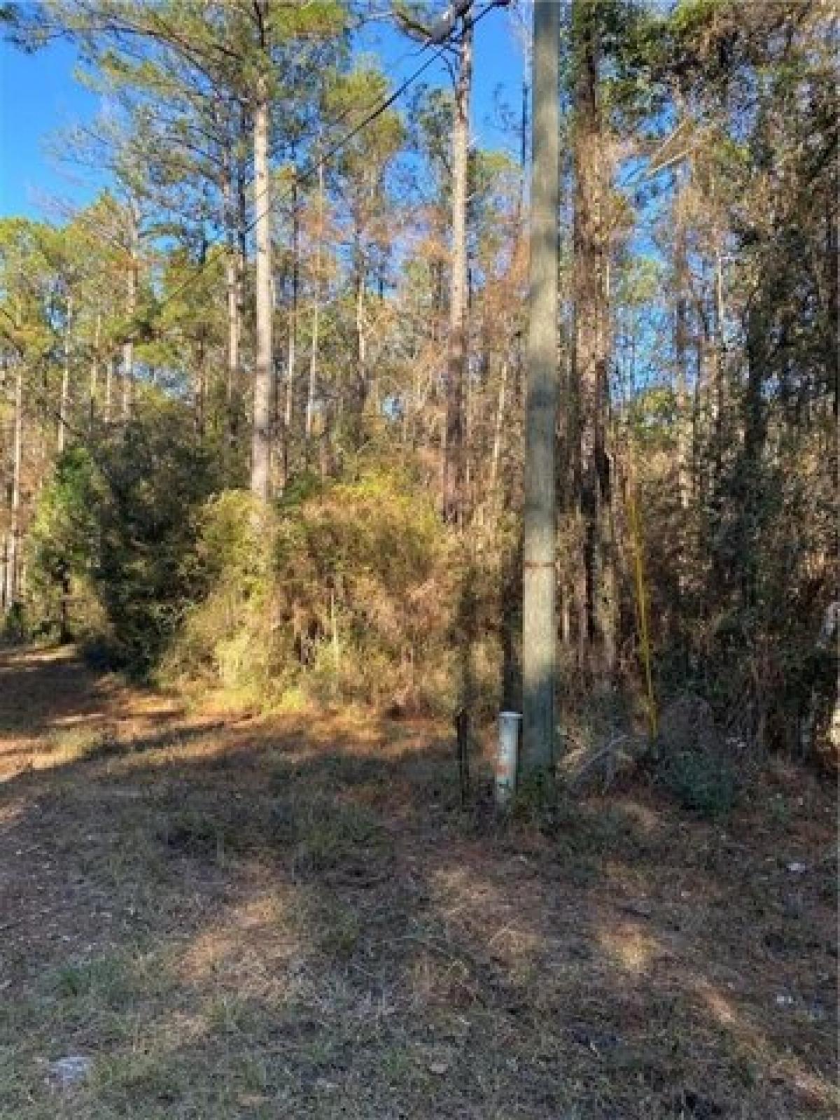 Picture of Residential Land For Sale in Daphne, Alabama, United States