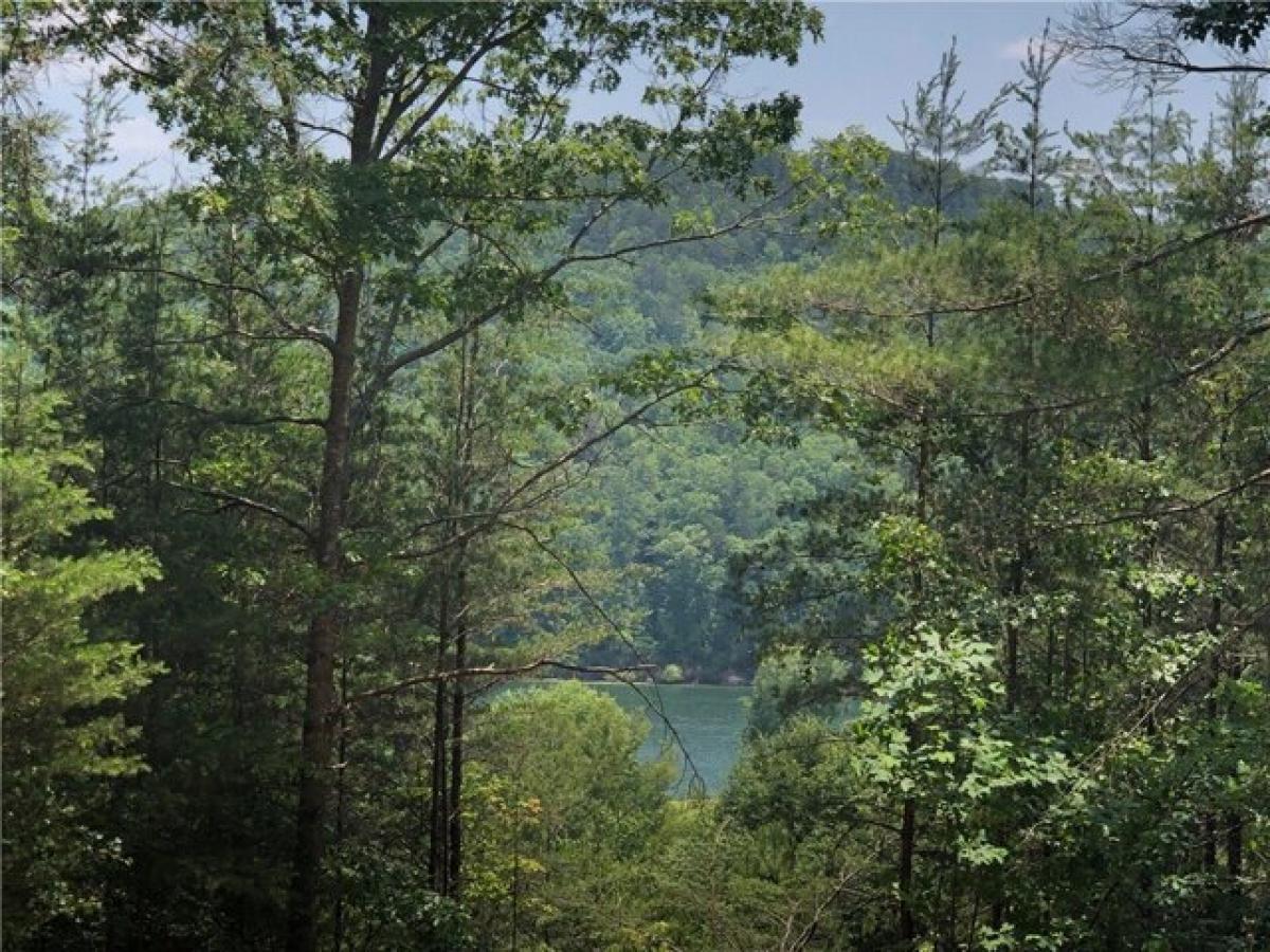 Picture of Residential Land For Sale in Sunset, South Carolina, United States