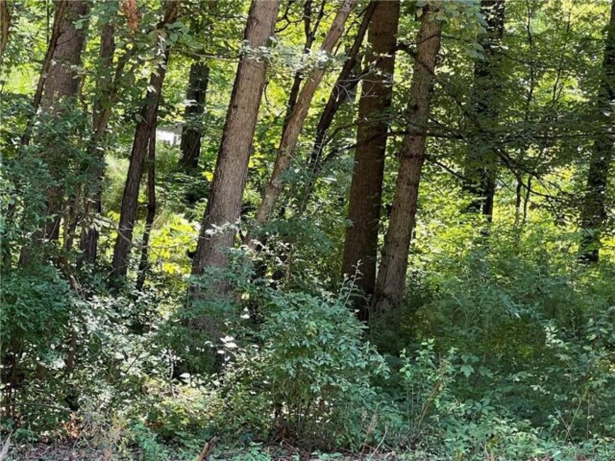 Picture of Residential Land For Sale in Statesville, North Carolina, United States