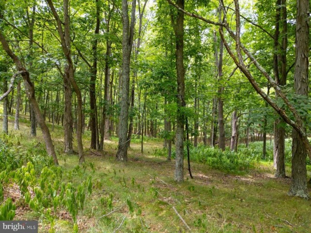 Picture of Residential Land For Sale in New Creek, West Virginia, United States