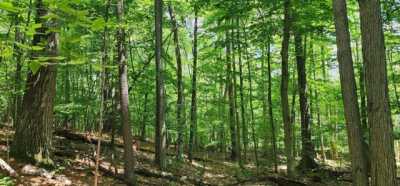 Residential Land For Sale in Jay, New York