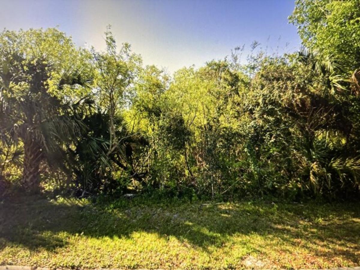 Picture of Residential Land For Sale in Titusville, Florida, United States