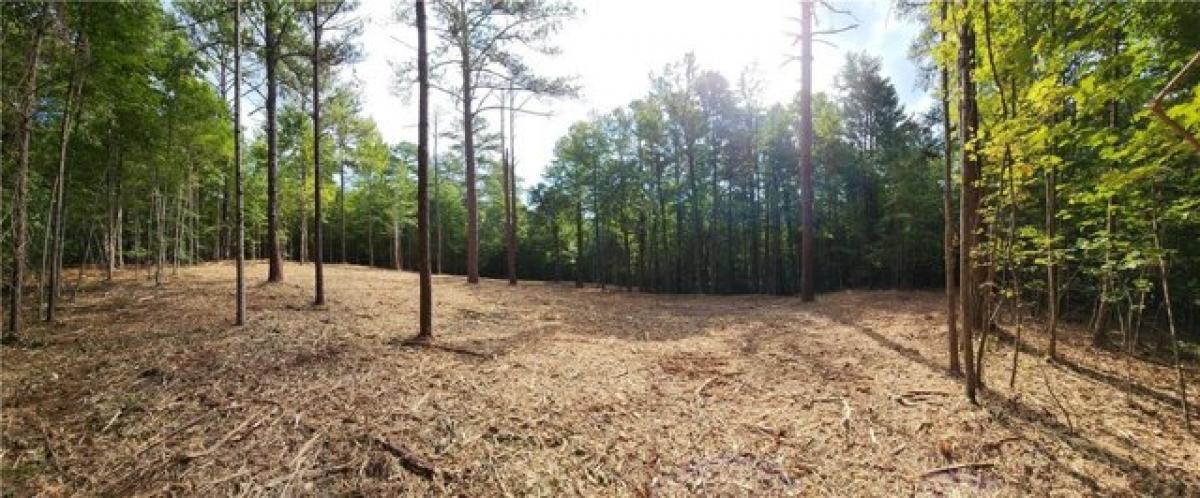 Picture of Residential Land For Sale in Salem, South Carolina, United States