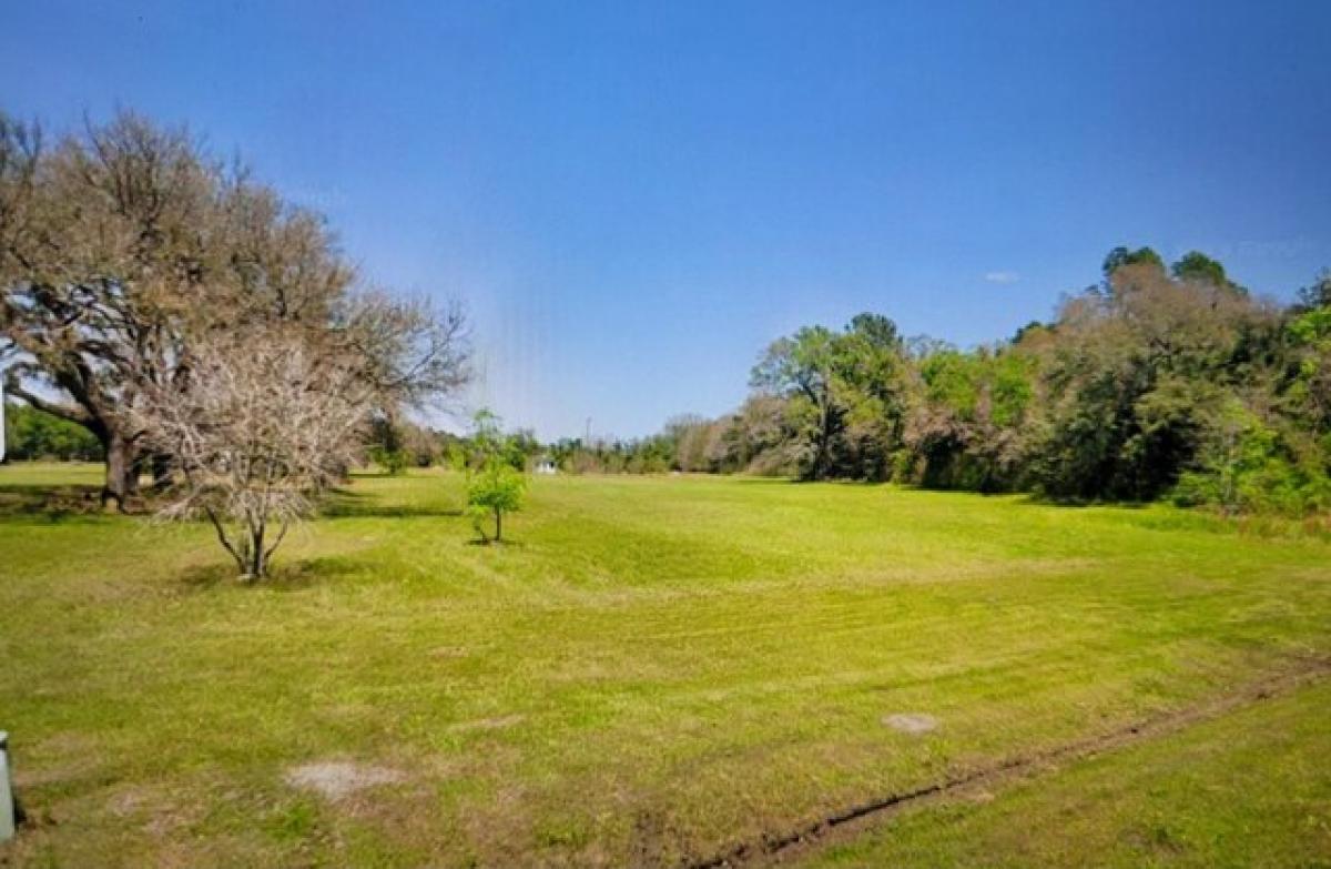 Picture of Residential Land For Sale in Reevesville, South Carolina, United States