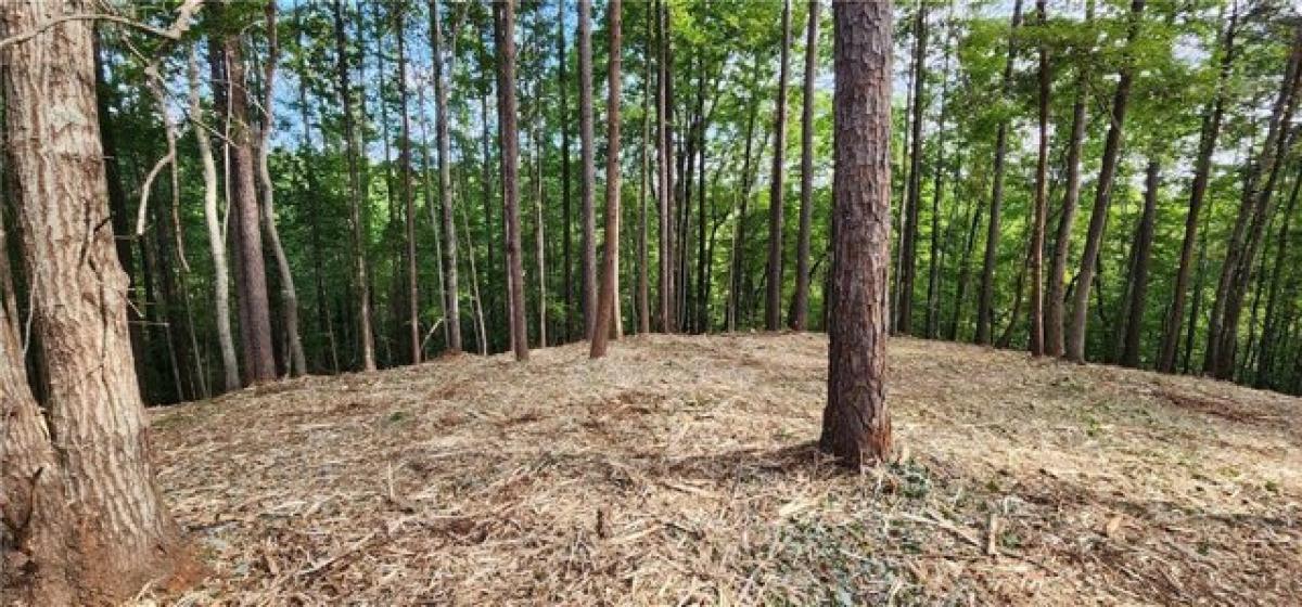 Picture of Residential Land For Sale in Salem, South Carolina, United States