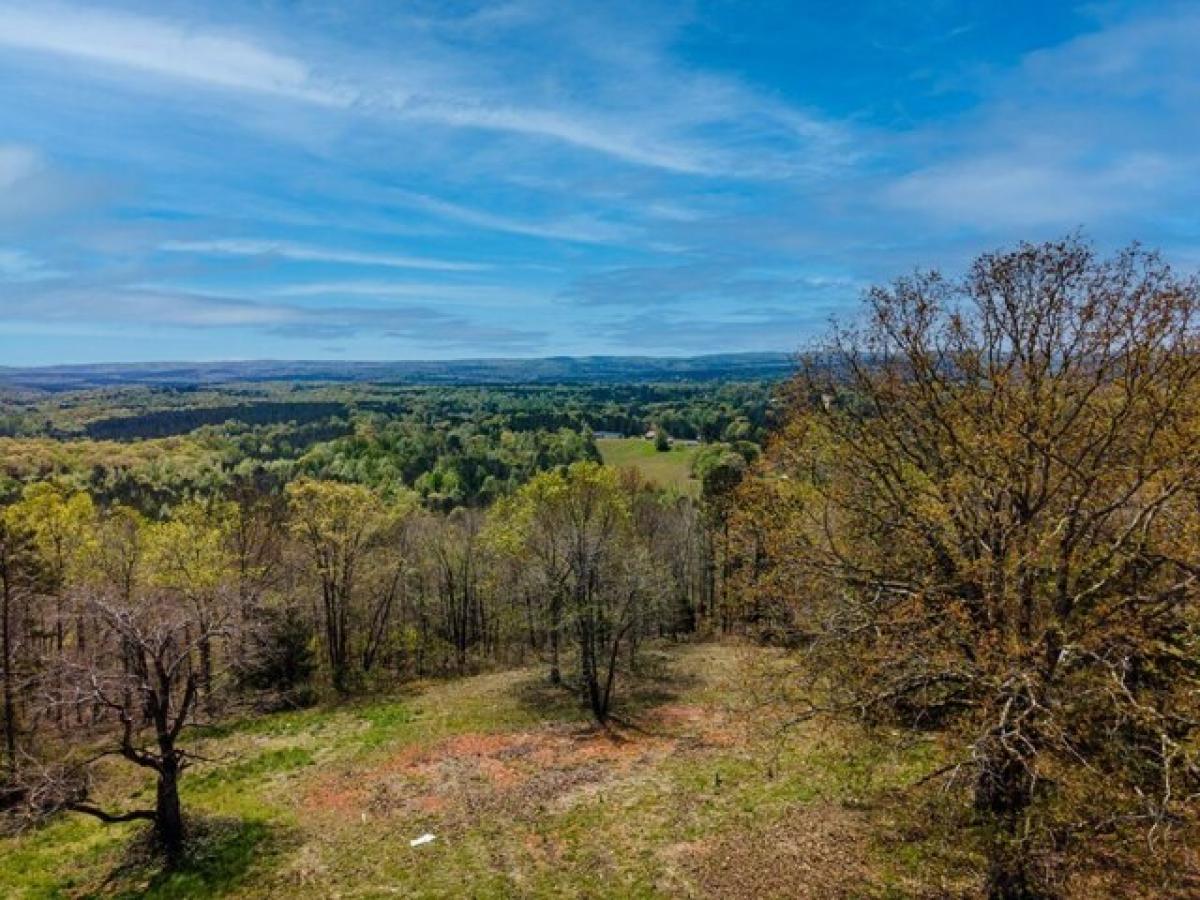 Picture of Residential Land For Sale in Manchester, Georgia, United States