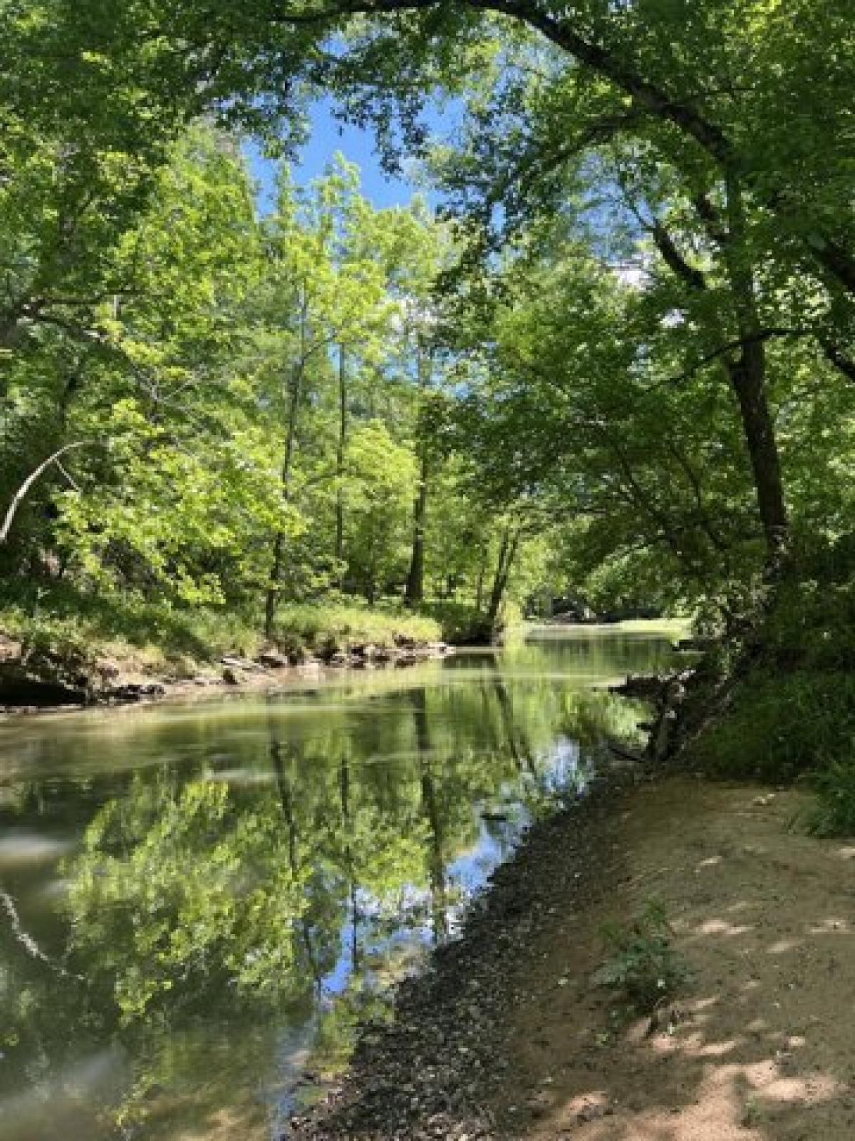 Picture of Residential Land For Sale in Ringgold, Georgia, United States